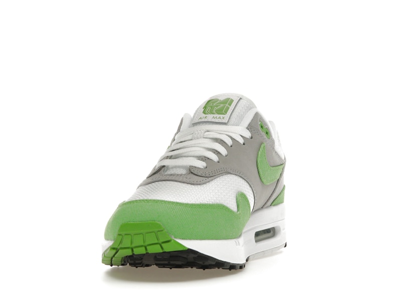 Nike Air Max 1 Patta 20th Anniversary Chlorophyll - image 12