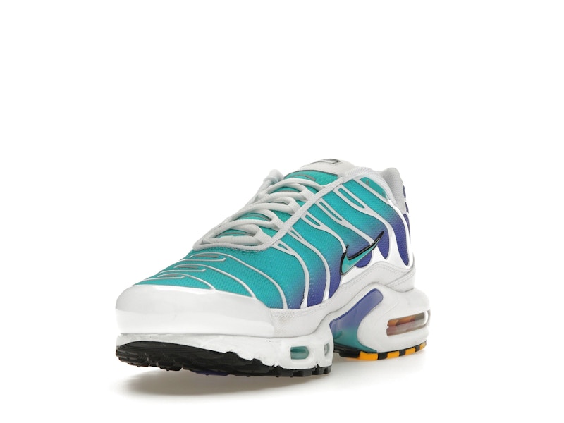 Nike Air Max Plus Aqua - image 13