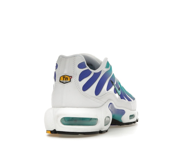 Nike Air Max Plus Aqua - image 30