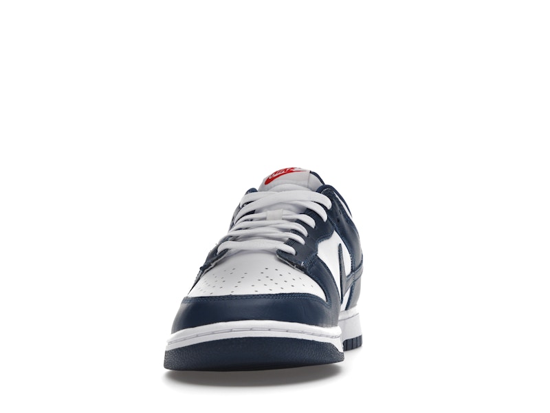 Nike Dunk Low Valerian Blue - image 11
